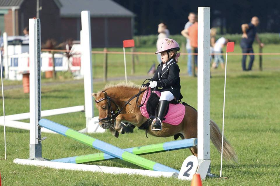 Ponies and Their Little Riders